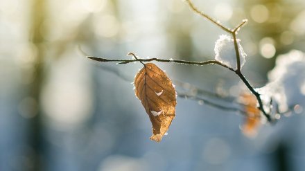 Прогноз погоды на 27.11.2019