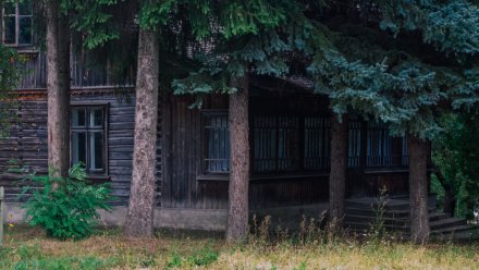 В Воронежской области выставили на продажу базы отдыха возле дубового леса