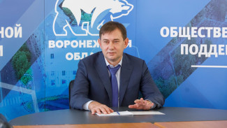 Спикер Воронежской областной думы провёл дистанционный приём граждан
