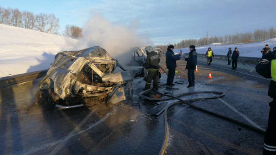 Безопасность воронежской трассы усилят после ДТП, в котором заживо сгорели 8 человек