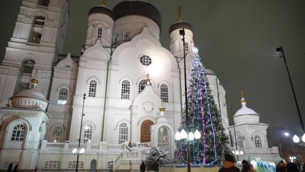 Рождественская ночь в Воронеже и области будет морозной и снежной