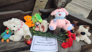 Воронежцы начали нести цветы и игрушки к мемориалу после трагедии в «Крокусе»