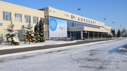 Дебошир, спровоцировавший срочную посадку самолёта в Воронеже, оказался известным хоккеистом