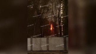 Воронежцы сняли на видео пожар в расселённом доме в переулке Славы