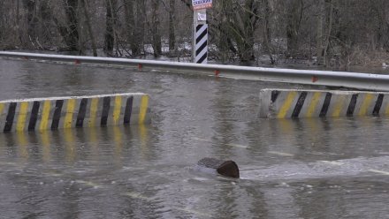 В Воронежской области после паводка открыли последний низководный мост