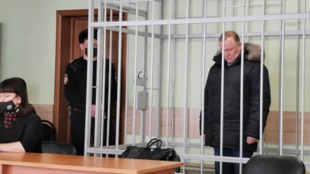 Строительный вице-мэр Воронежа поплатился свободой за 400 тыс. рублей