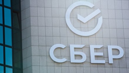 СберСтрахование жизни помогла воронежцам выплатить тысячу кредитов на 81 млн рублей