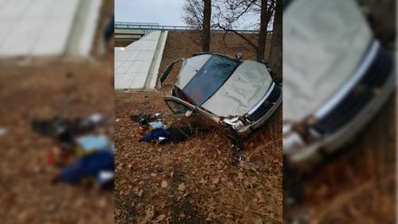 На М-4 «Дон» под Воронежем в перевернувшемся авто пострадал ребёнок