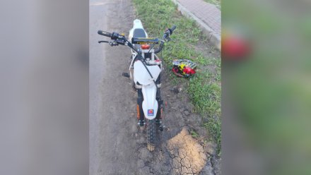 11-летний питбайкер попал в больницу после ДТП с легковушкой в воронежском селе