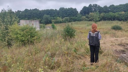 Появилось фото с места гибели отца и сына в Бутурлиновском районе