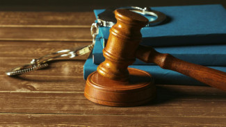 В Воронеже закладчика отправили в колонию строгого режима на 9 лет