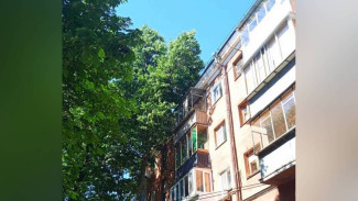 Разросшиеся деревья проникли на балконы пятиэтажки в центре Воронеже