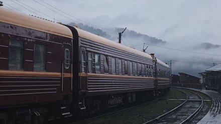 Бойца ММА убили в проходящем через Воронеж поезде