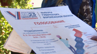 В избиркоме рассказали о ходе второго дня выборов губернатора Воронежской области