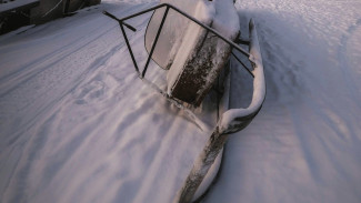 В воронежском заповеднике перевернулся снегоход: погиб сотрудник