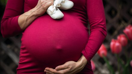 В Воронежской области с начала 2026-го провели 914 процедур ЭКО 