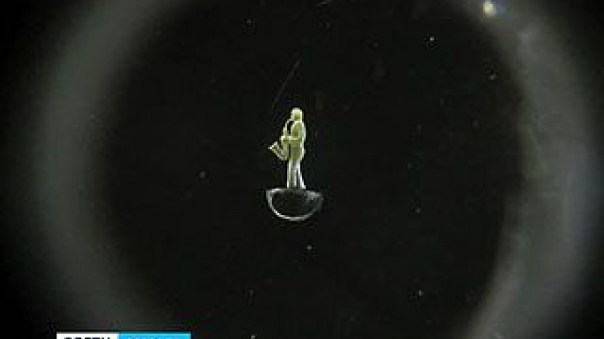 Выставка площадью с ладонь удивит воронежцев