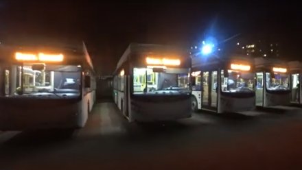 В Воронеже появятся ещё 20 новых автобусов