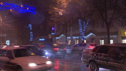 В Воронежскую область возвращаются дожди и мокрый снег