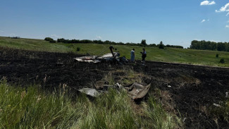 Появилось видео с места крушения самолёта в Татарстане