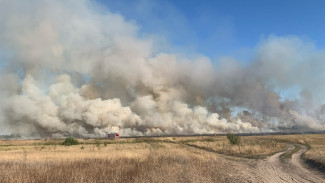 Крупный пожар случился вблизи посёлка под Воронежем