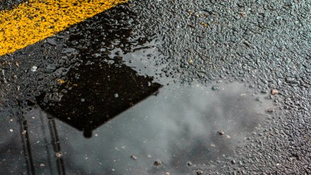 Выходные в Воронежской области будут облачными и ветреными