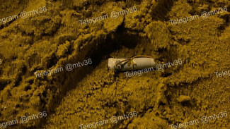 Подозрительный свёрток денег нашли на детской площадке в Воронеже