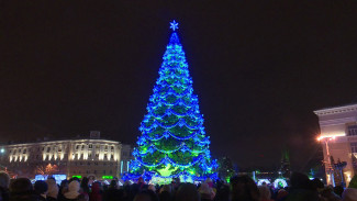 В Воронеже отказались от предложения установить главную новогоднюю ёлку за 1 копейку