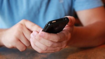 Воронежцев предупредили о SMS с «сюрпризом», взламывающим банковские счета