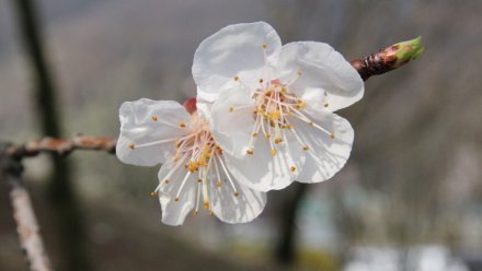 Воронежцам пообещали тёплые и сухие выходные 