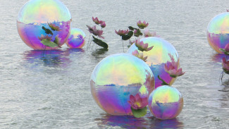 Плавучая изба и лотосы. В Воронеже прошёл фестиваль «Город-сад»