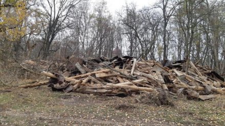 Прокуратура начала проверку сноса уникальной усадьбы под Воронежем