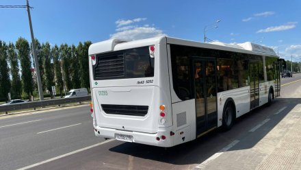 В воронежских автобусах сломались кондиционеры