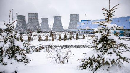Нововоронежская АЭС на 3,61% перевыполнила план февраля по выработке электроэнергии