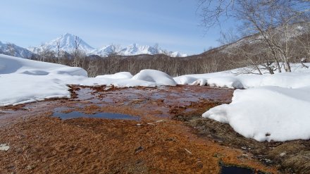 Воронежская область попала в зону аномального тепла