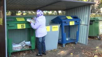 В Воронежской области появятся 11 тысяч мусорных баков для смешанных отходов
