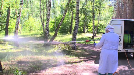 Воронежцев попросили временно не приходить в 6 парков и скверов