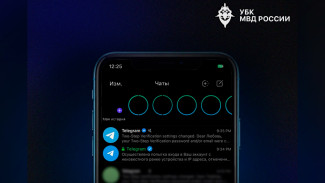 Воронежцев предупредили о новой схеме мошенничества в «Телеграме»