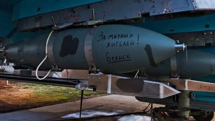 Воронежский детский омбудсмен высказалась о ракетном ударе по Брянску