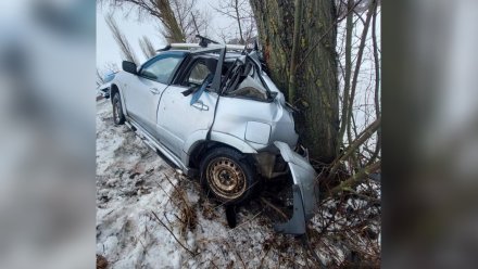 Легковушка улетела в кювет и врезалась в дерево в Воронежской области: пострадал водитель