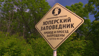 Правительство России расширило границы воронежского Хопёрского заповедника 