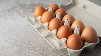В Воронежской области вновь начали расти цены на яйца