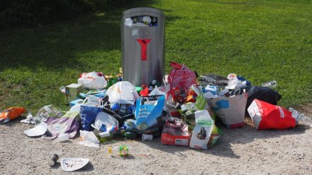 Жителей Семилук оставили с горами мусора из-за конфликта властей