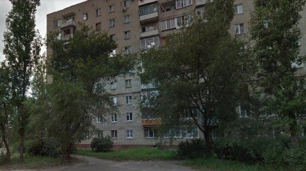 В квартире на Левом берегу Воронежа у домашнего питомца нашли бешенство