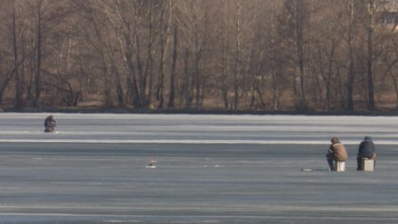 Три рыбака утонули в Воронежской области в выходные