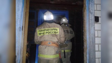 Труп 68-летнего мужчины нашли на месте пожара в воронежской деревне