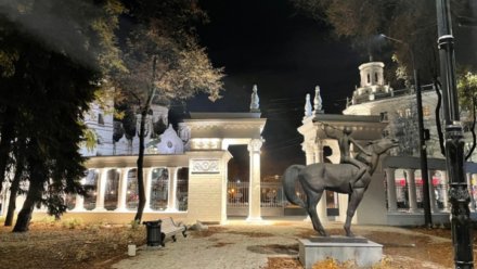 Парк «Орлёнок» в Воронеже закроют для подготовки к фестивалю