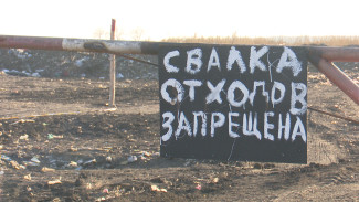 В Воронежской области ликвидируют большинство незаконных свалок