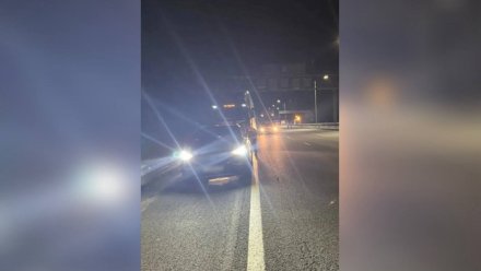 Жительница Мурманской области насмерть сбила пешехода на трассе в Воронеже