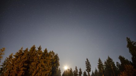 Женщина получила ранения при атаке БПЛА на Воронежскую область